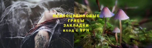 амф Кулебаки