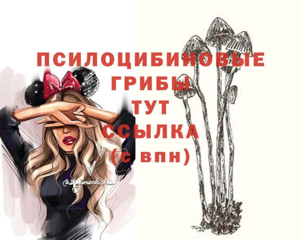 скорость Краснослободск