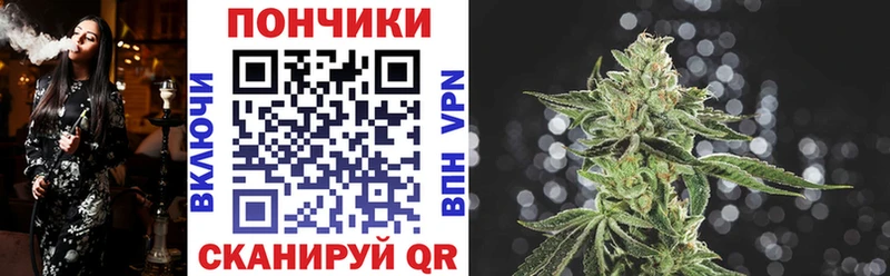 кракен зеркало  купить наркотики сайты  Лакинск  Бошки марихуана планчик 